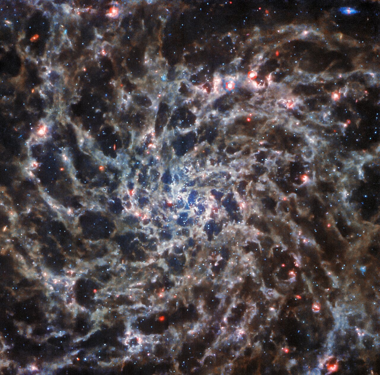 Webb Reveals IC 5332 scaled ESA Webb