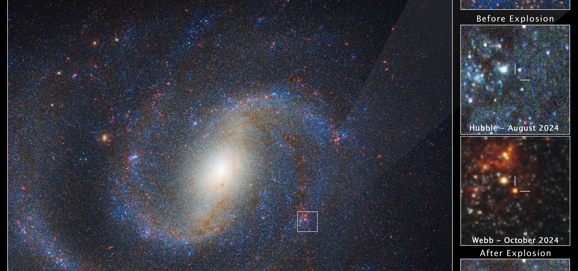 Webb locates former star that exploded as supernova