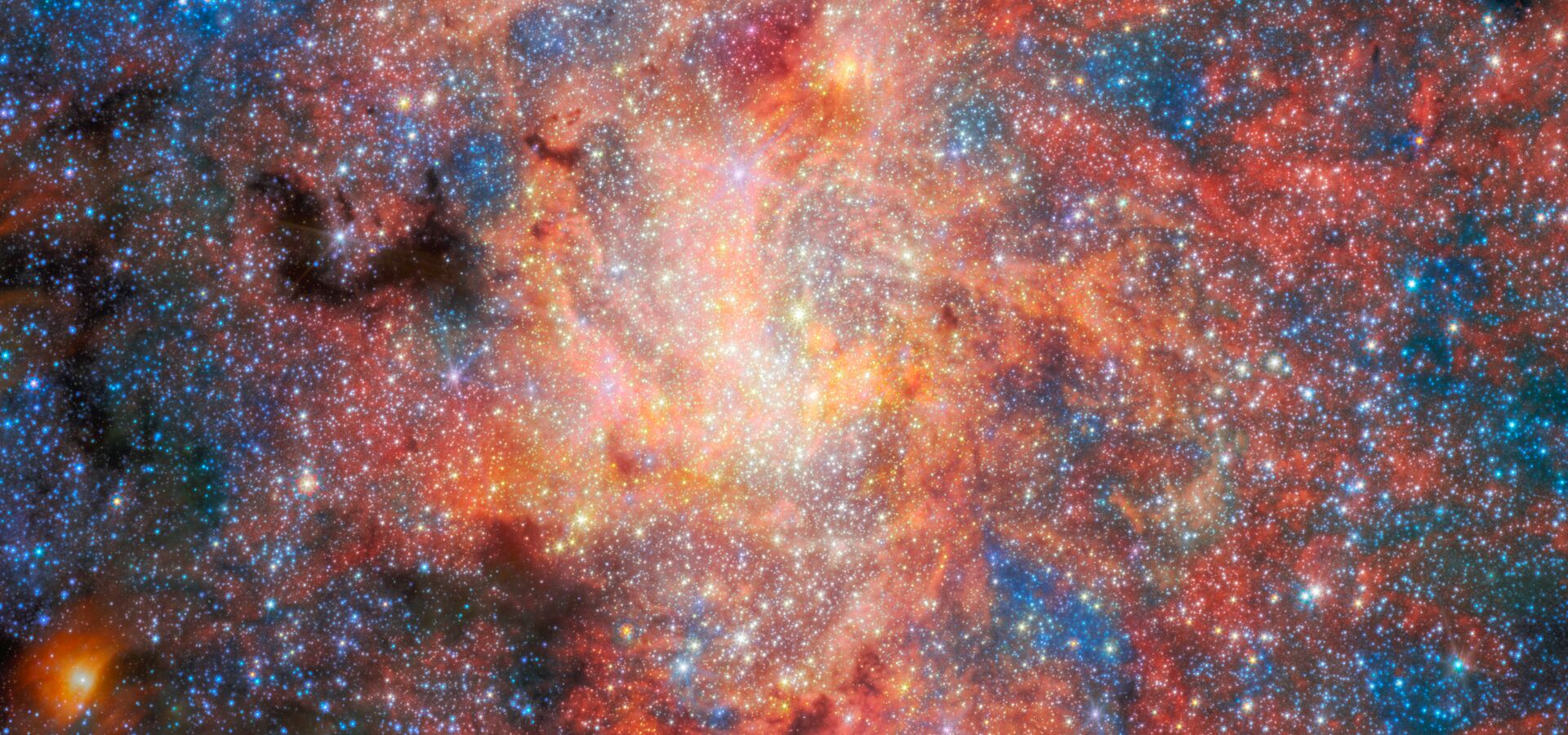 Webb reveals dust and water surviving in the extreme environment around the Milky Way’s central black hole