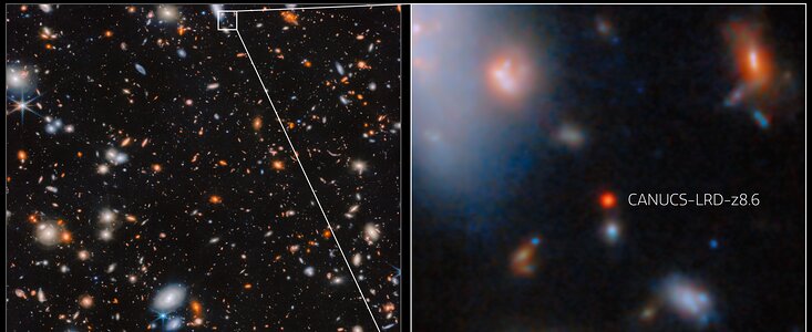 CANUCS-LRD-z8.6 in MACS J1149.5+2223