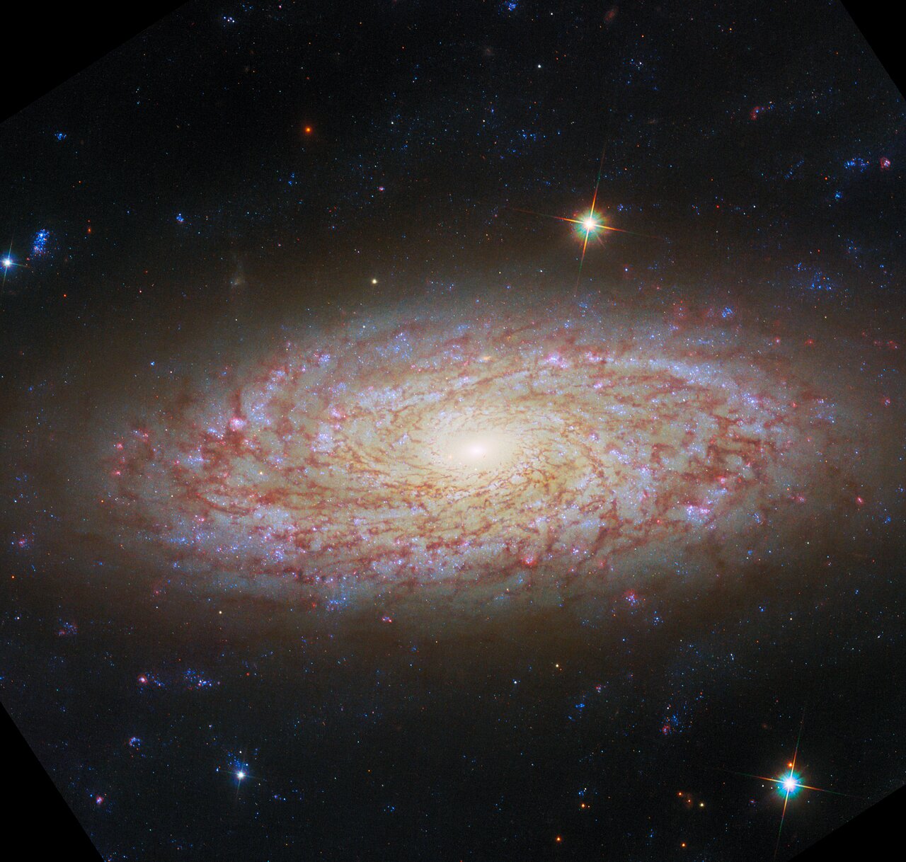 Webb, Hubble capture flocculent spiral galaxy | Science News - News9live