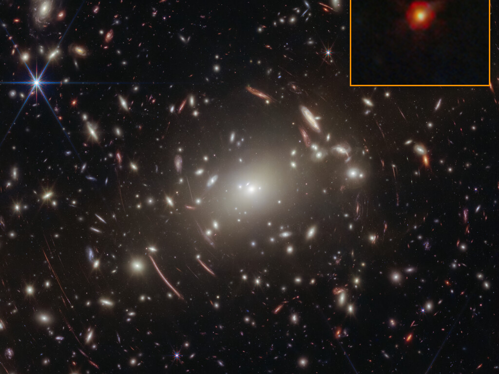 Webb finds strongest evidence yet for "black hole stars”