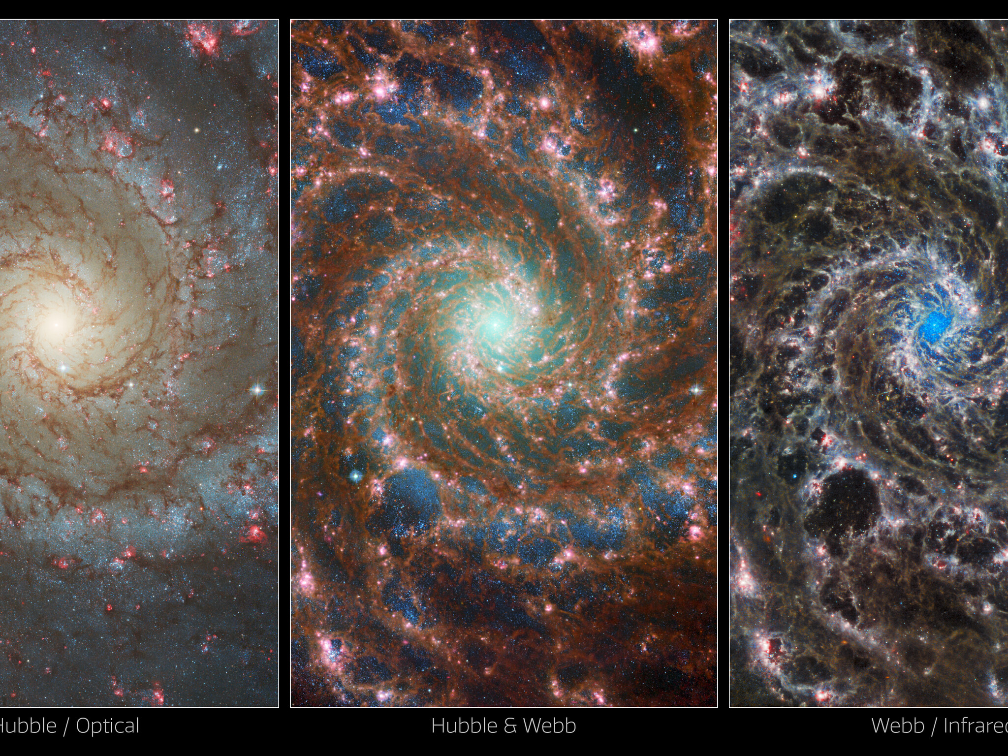 Multi Observatory Views Of M74 ESA Webb